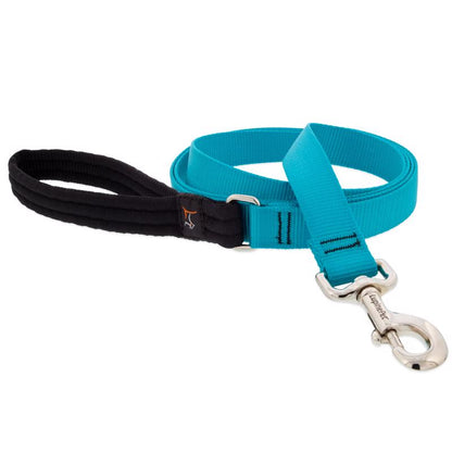 Emery Jensen dog leash in aqua, 6 feet long, durable nylon material, suitable for walking and training pets.