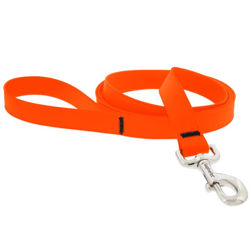 Emery Jensen 6-foot Biothane dog leash from LESH DG collection, durable and flexible for outdoor walks.