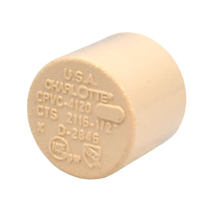 Pack of 10 Emery Jensen CPVC 1/2-inch caps for plumbing, shown in a close-up image.