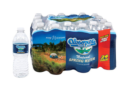 SPRING WATER 16.9oz 24PK - Pack of 84
