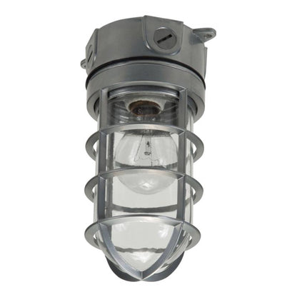 Gray canopy light by Emery Jensen, dusk to dawn outdoor lighting fixture with 1600 lumens for enhanced security and visibility.