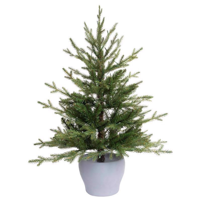 Emery Jensen CMAS Fraser Fir Potted 3-foot entranceway tree with lush green needles and natural pine cone accents.