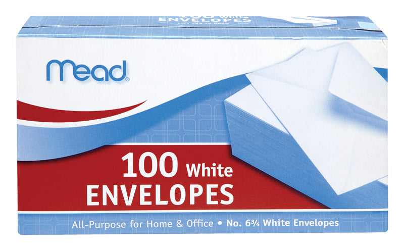 ENVELOPE 6-3/4" 100CT PL - Pack of 24
