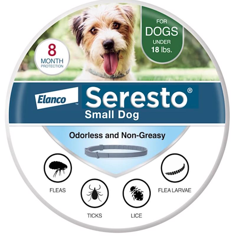 Emery Jensen Seresto small dog collar for flea and tick prevention, shown on a small dog. Durable and adjustable design.