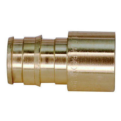 ADPTR 1/2"BARB x FS