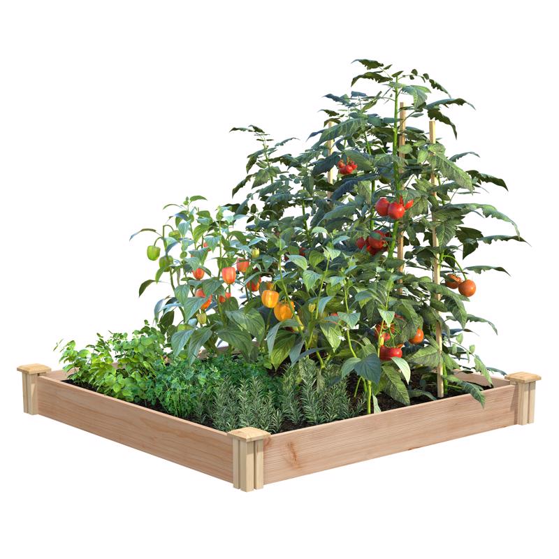 Emery Jensen cedar raised garden bed for planting, made of durable wood, ideal for vegetable and flower gardening.