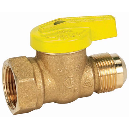 GAS BALL VALVE FIP 1/2"