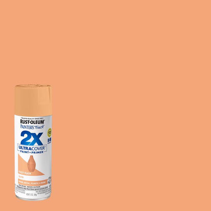 Pnt+prm STN FZY PCH 12OZ