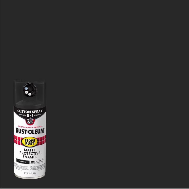 PRTCTV ENML SPRY PNT MT - Pack of 6