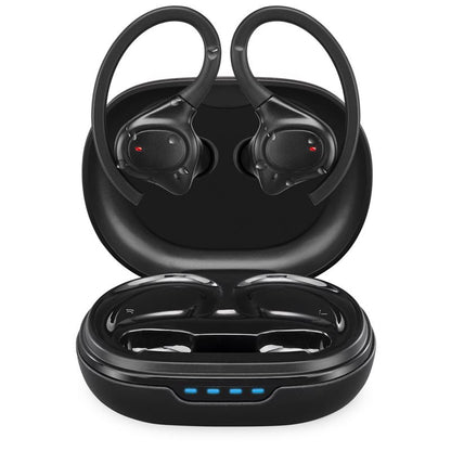 Earbuds/chgcse & EAR HKS