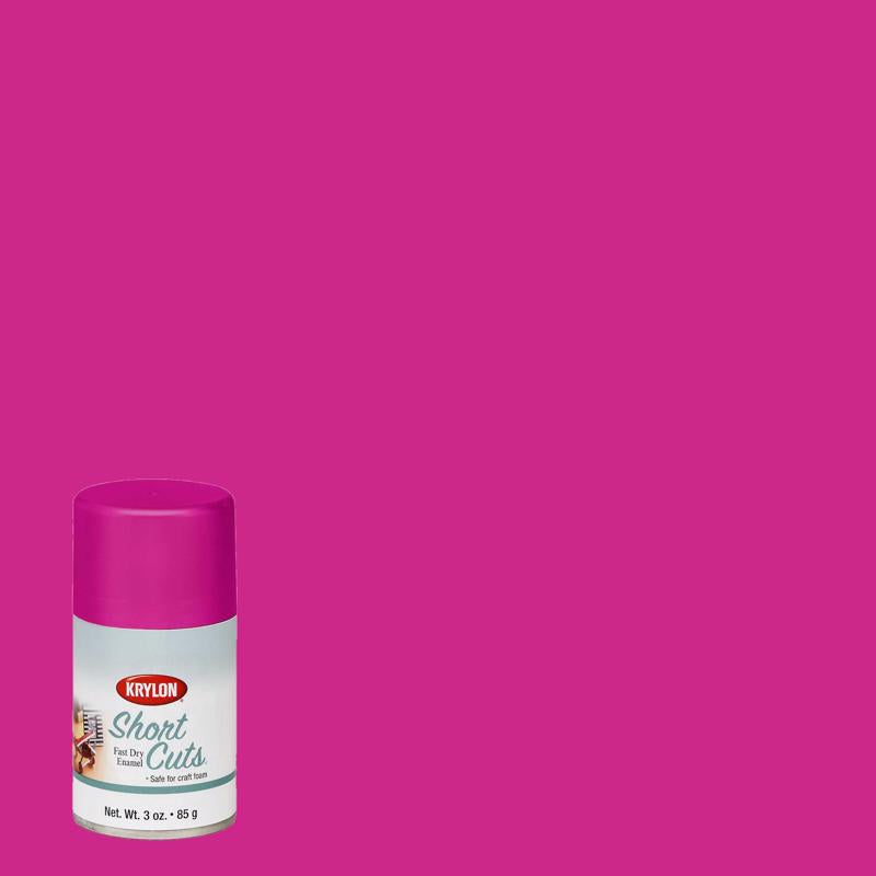 SPRAY 3OZ GLOSS HOT PINK - Pack of 6
