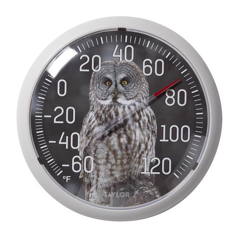 DIAL THRMOMTR OWL 13.25" - Pack of 4