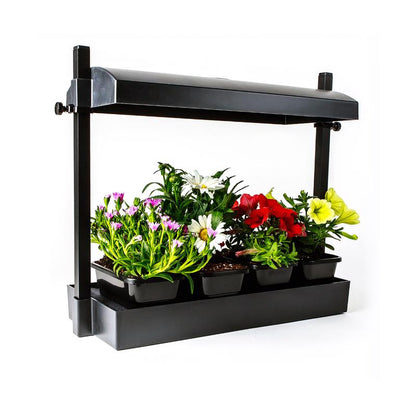 Emery Jensen GROW LGHT SYSTEM 12W black hydro seed starting product with integrated grow light for indoor gardening.