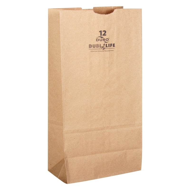 Emery Jensen in-store paper shopping bags, 12 lb capacity, 500-pack, durable kraft paper bags for retail use.