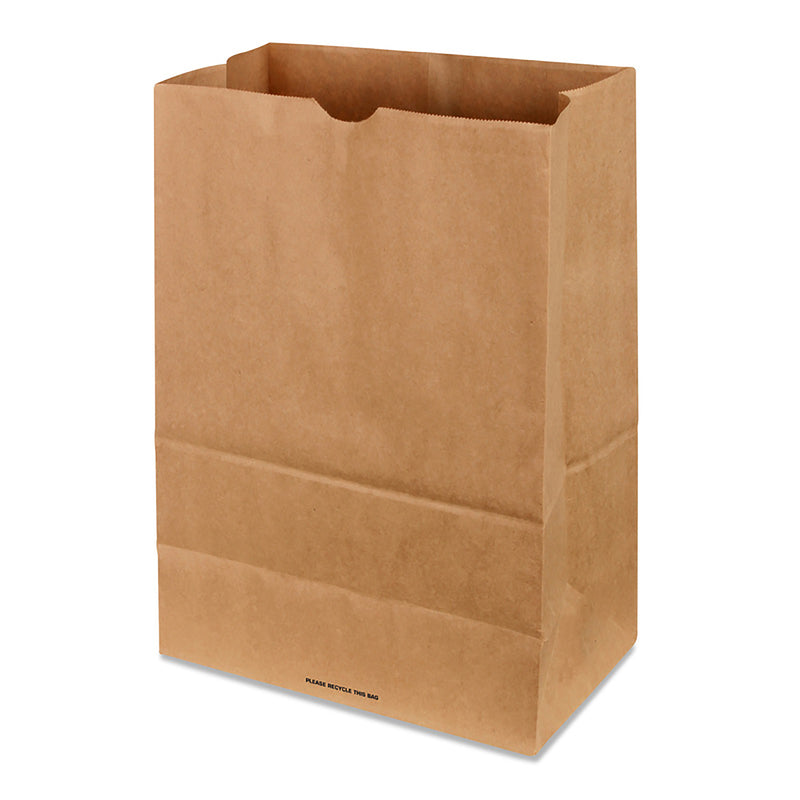 Set of 500 Emery Jensen paper shopping bags, in-store retail paper bags with handles for convenient shopping.