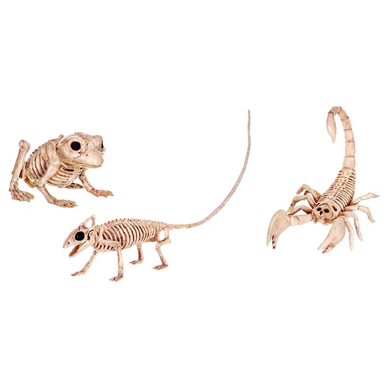 MINI SKELETON ASSORTD - Pack of 12