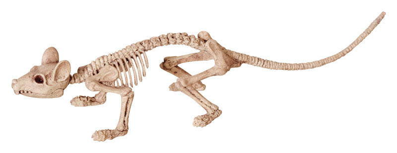 Spider/rat/bat SKELETONS - Pack of 12