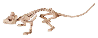 Spider/rat/bat SKELETONS - Pack of 12