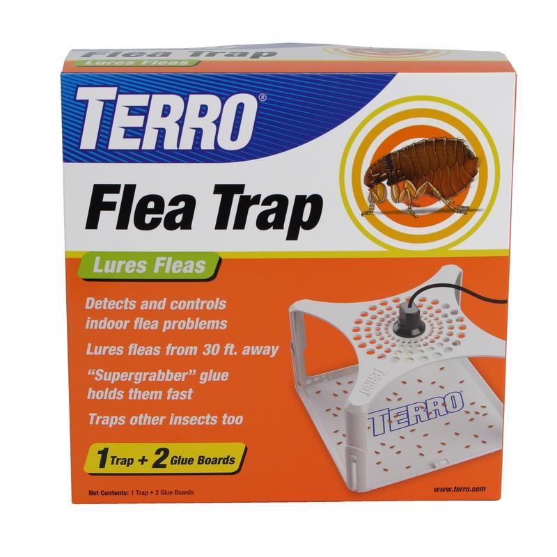 Emery Jensen flea trap with sticky glue surface designed to catch fleas and other insects indoors.