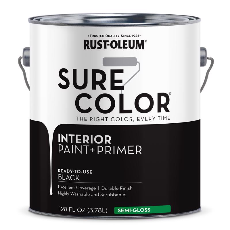 Pnt+prmr SG BLACK 1GL - Pack of 2