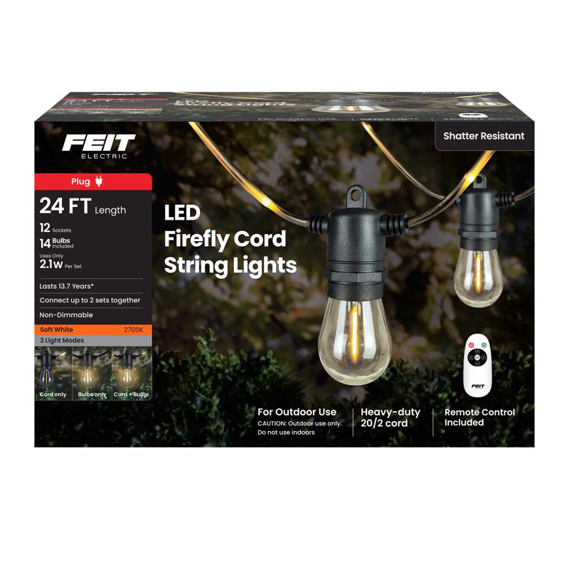 Emery Jensen 24-foot LED string light set with clear bulbs for outdoor or indoor decorative lighting.