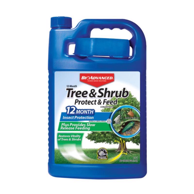 Tree&shrub CONC 1 GAL