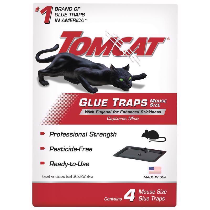 MOUSE GLUE TRP EUGENL4PK - Pack of 12