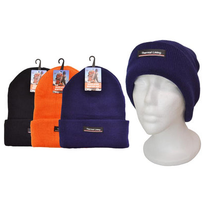 WINTER HAT INSULAT ASST - Pack of 36