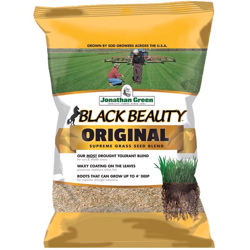 BLACK BEAUTY GRS Seed25#