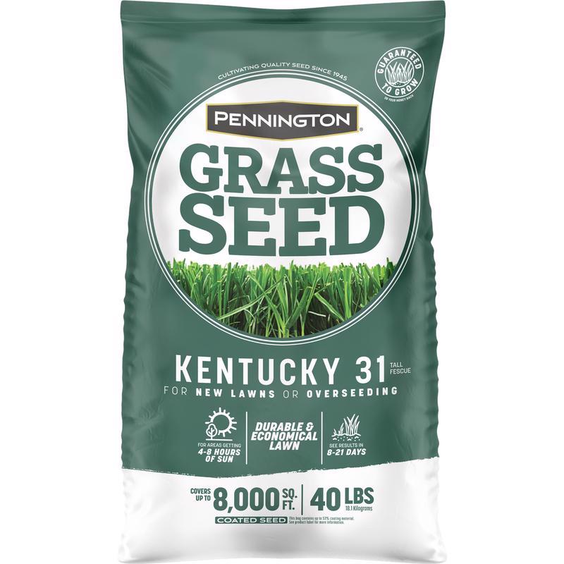 Emery Jensen KY31 TF grass seed in a 40-pound package, suitable for large lawn overseeding or new turf planting.