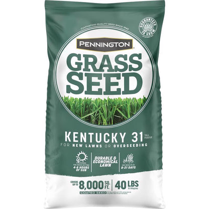 Emery Jensen KY31 TF grass seed in a 40-pound package, suitable for large lawn overseeding or new turf planting.