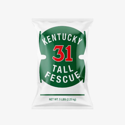 K-31 TALL FESCUE 5#
