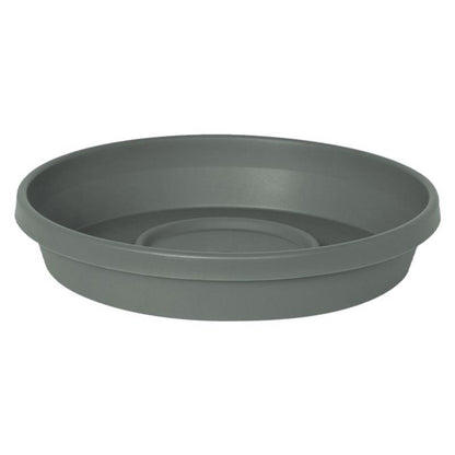 PLNT SCR TERA RND BSL 6"