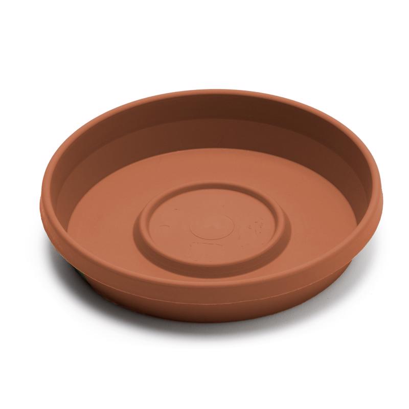 TERRATRAY TRCOT 6"