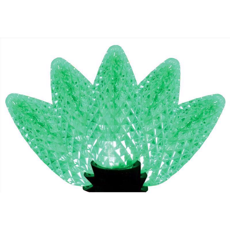 Emery Jensen Platinum LED C Sets C9 Christmas lights, 25-count in green, with clear bulbs on a white background.