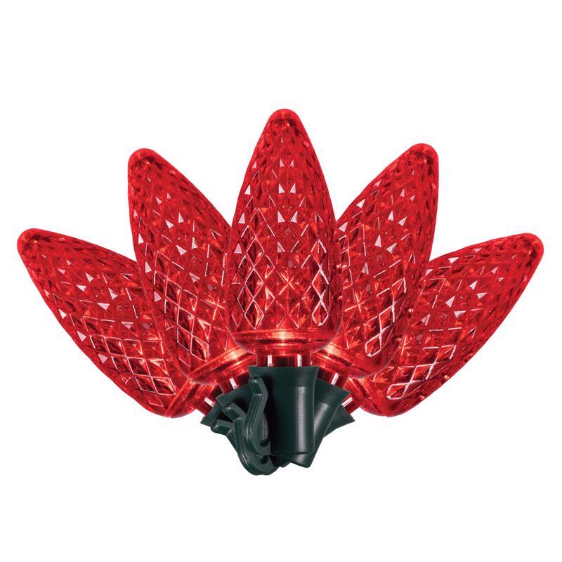 Emery Jensen Platinum LED C-Set C9 lights in red, 25-count string for holiday or decorative lighting.