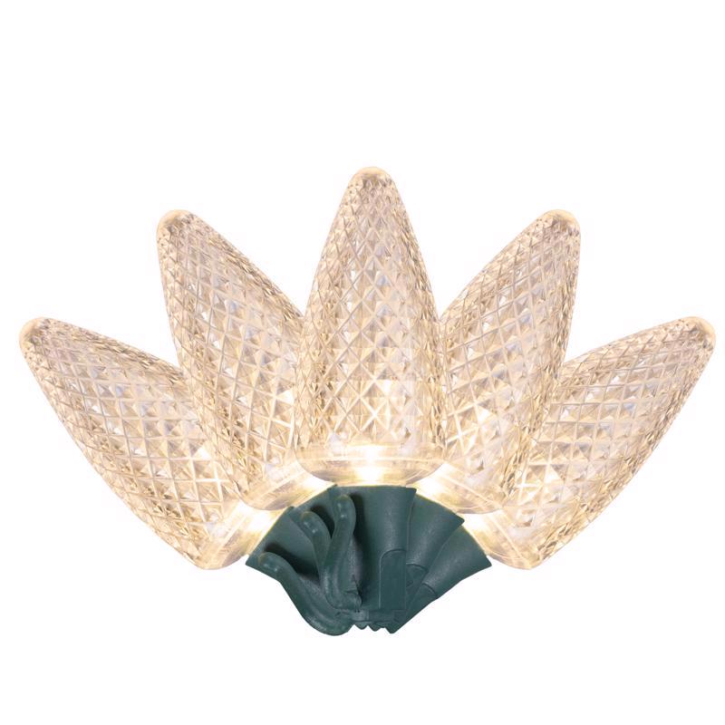 Emery Jensen Platinum LED C sets, warm white C9 lights, 25-count string of outdoor decorative holiday lights on a dark background