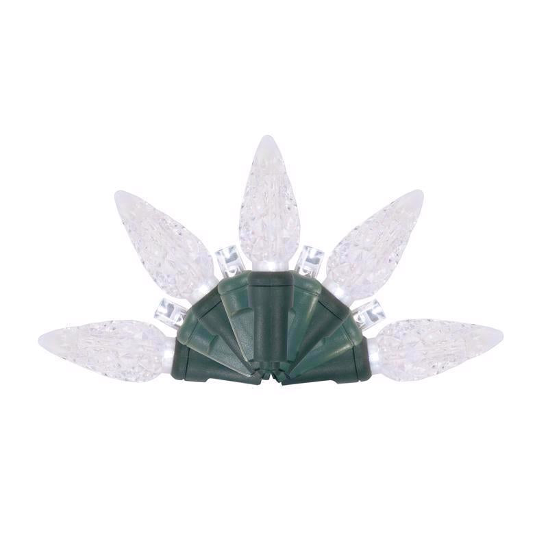 Emery Jensen Platinum LED C Sets, PLAT DUET LIGHTS 50-count, clear string lights for decorative lighting displays.