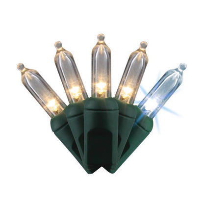 Emery Jensen Platinum LED Minis PLAT T5 Lights 50 count warm white for indoor decorative lighting, energy-efficient and long-lasting.