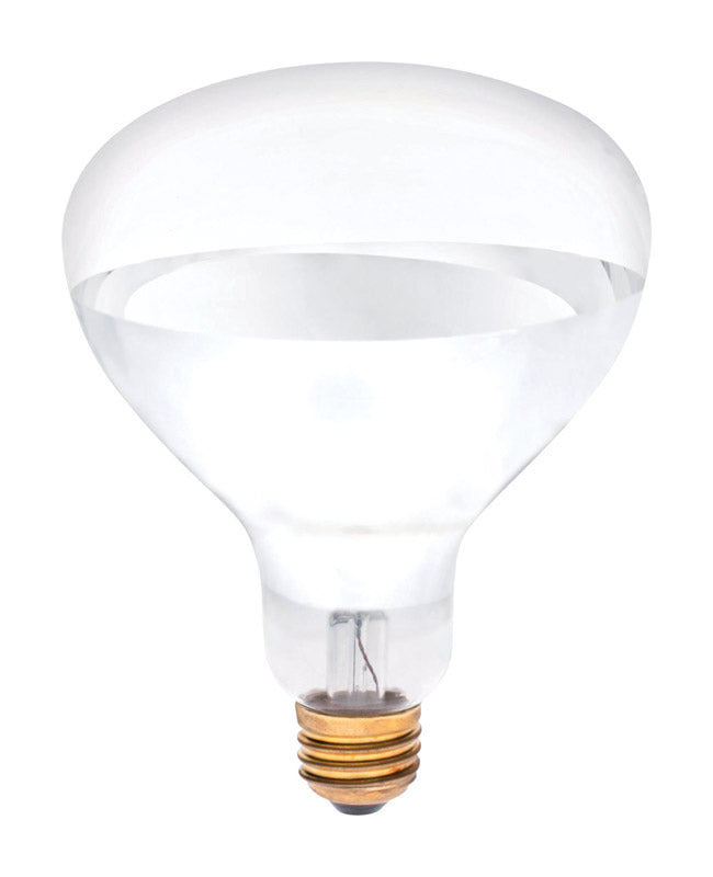 BULB-250W R-40 CLR HEAT - Pack of 6