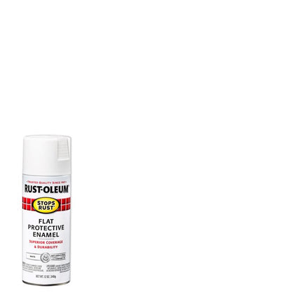 SPRY PAINT FLT WHT 12OZ - Pack of 6