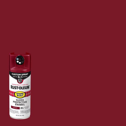 SR 5IN1 SPRY GLS BG 12OZ - Pack of 6