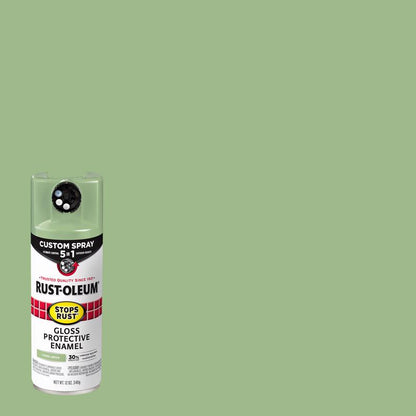 SR 5IN1 SPRY GLS LG 12OZ - Pack of 6