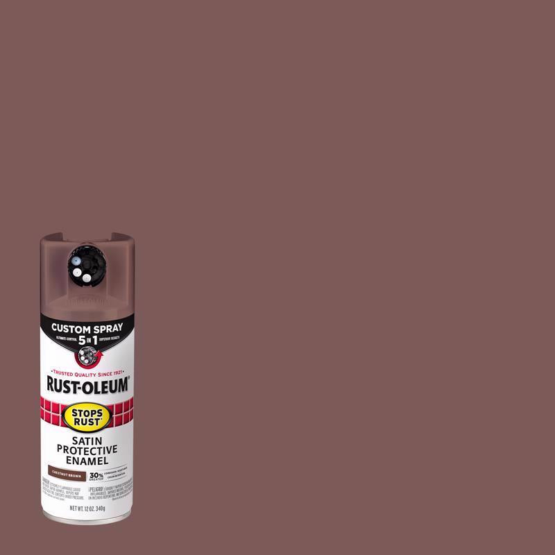SR 5IN1 SPRY STN CN 12OZ - Pack of 6