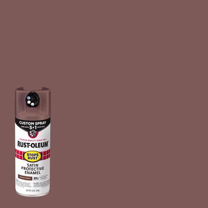 SR 5IN1 SPRY STN CN 12OZ - Pack of 6