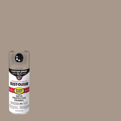 SR 5IN1 SPRY STN DW 12OZ - Pack of 6