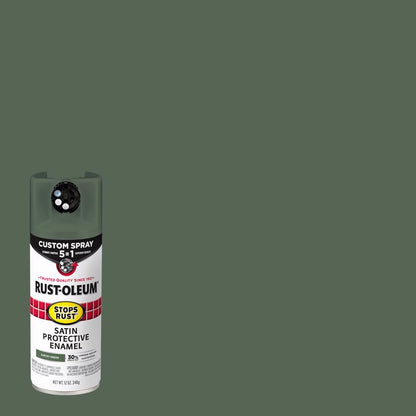 SR 5IN1 SPRY STN EG 12OZ - Pack of 6