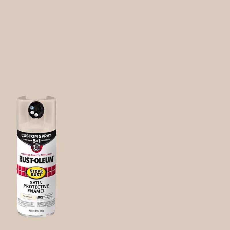 SR 5IN1 SPRY STN WH 12OZ - Pack of 6