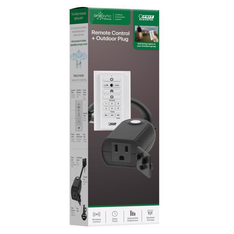 PLUG Adapter/remote 120V