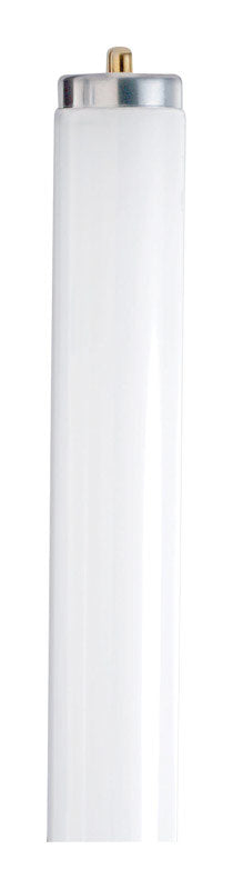 FLUORESCENT BULB T12 75W - Pack of 15